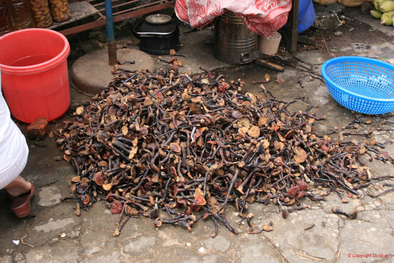VietNam 20080729 172  